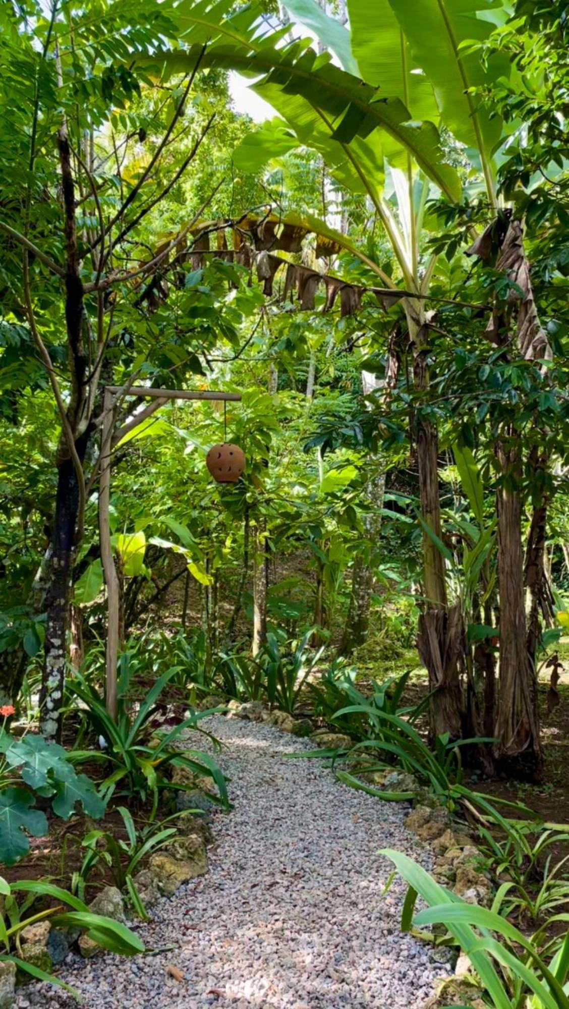 Rancho Romana Ecolodge Park V-01 El Limon Екстериор снимка