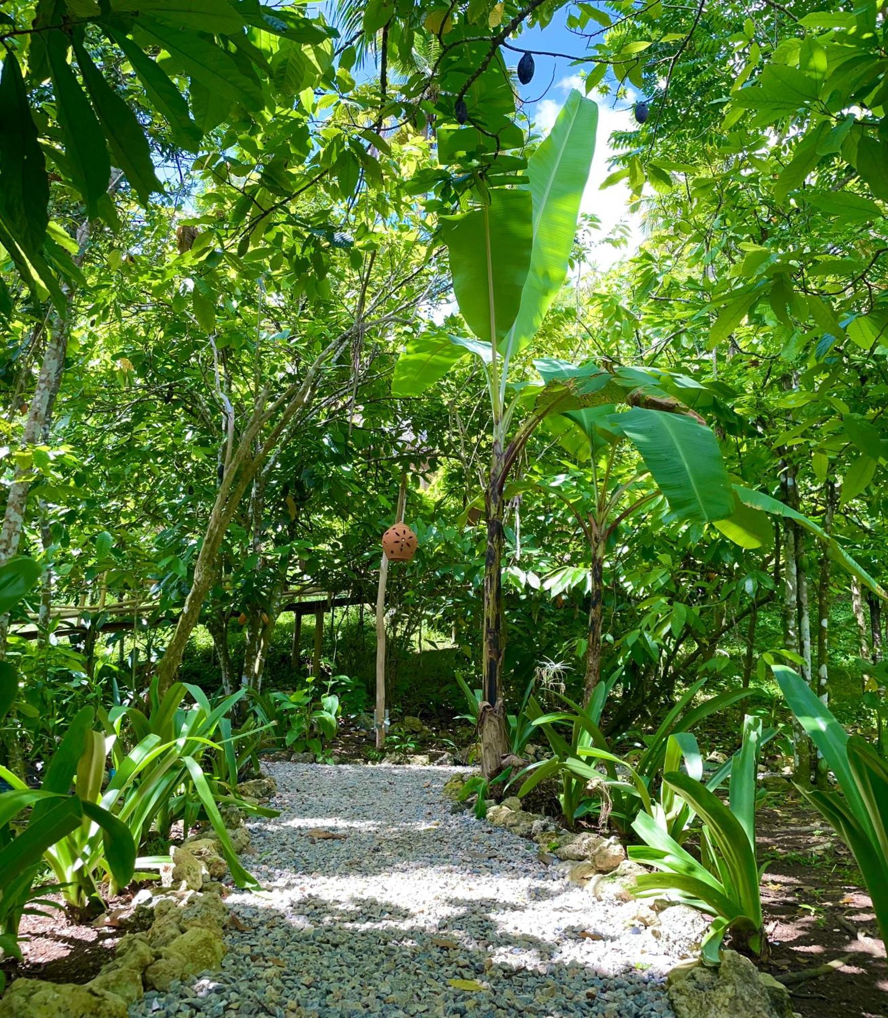 Rancho Romana Ecolodge Park V-01 El Limon Екстериор снимка