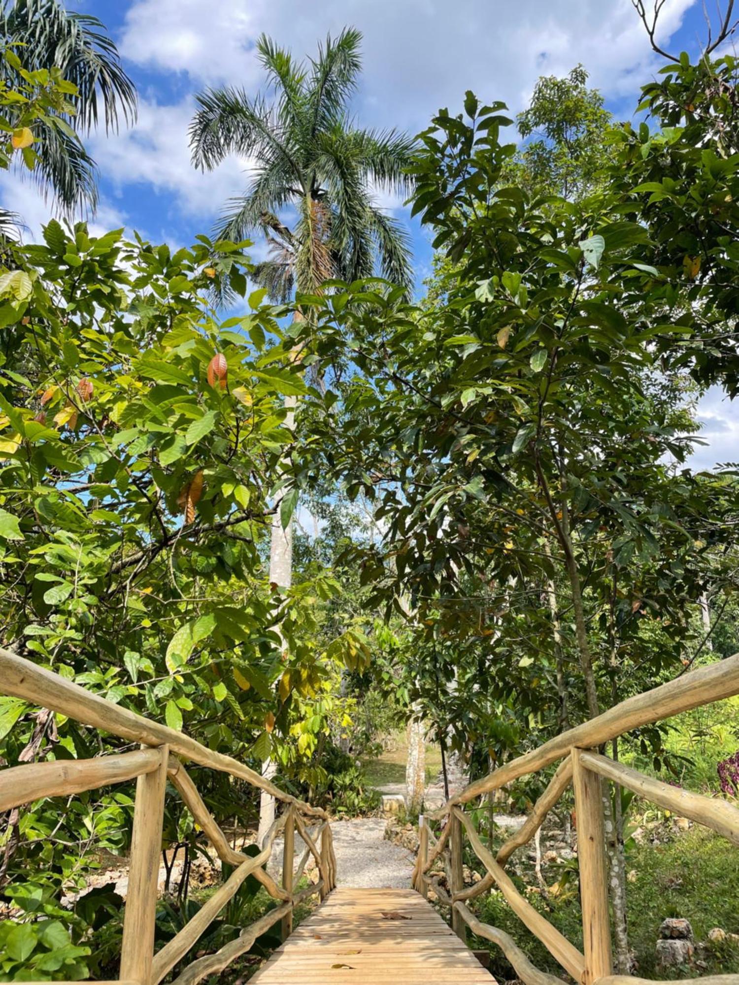 Rancho Romana Ecolodge Park V-01 El Limon Екстериор снимка