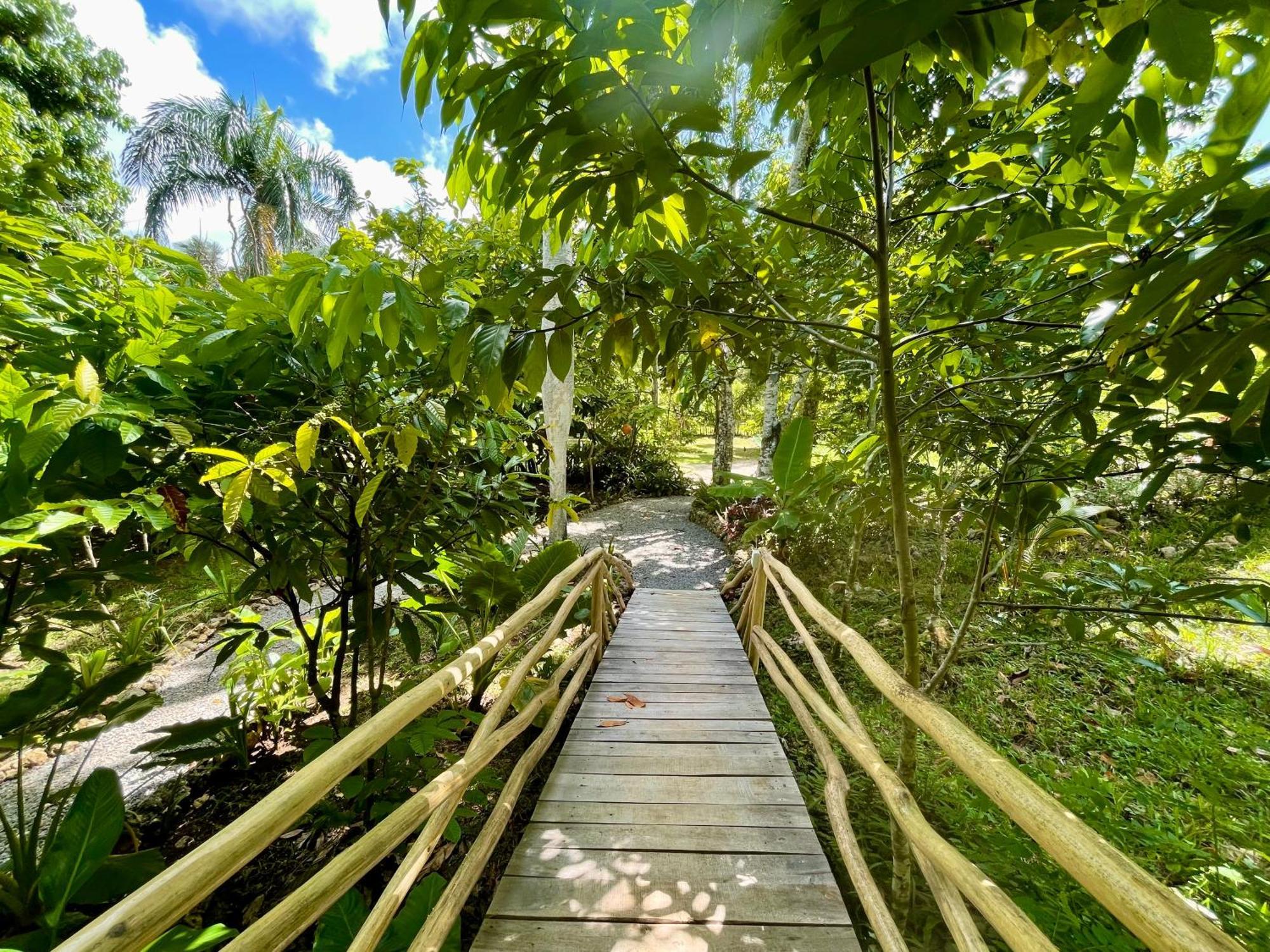 Rancho Romana Ecolodge Park V-01 El Limon Екстериор снимка